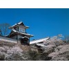 Hokuriku Area Rail Pass (4 Days)