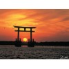 Mt.Fuji-Shizuoka Area Tourist Rail Pass Mini 5days