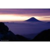 Mt.Fuji-Shizuoka Area Tourist Rail Pass Mini 5days