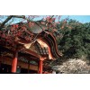 Setouchi Area Rail Pass (5 Days)