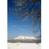 JR Hokkaido Rail Pass